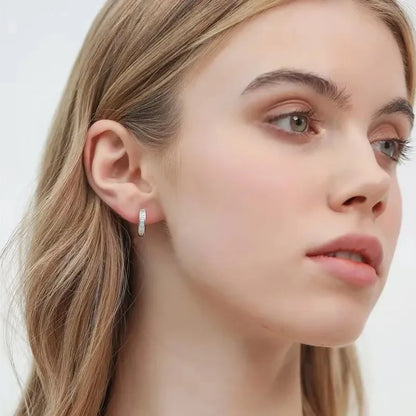 Sterling Silver Zircon Earrings